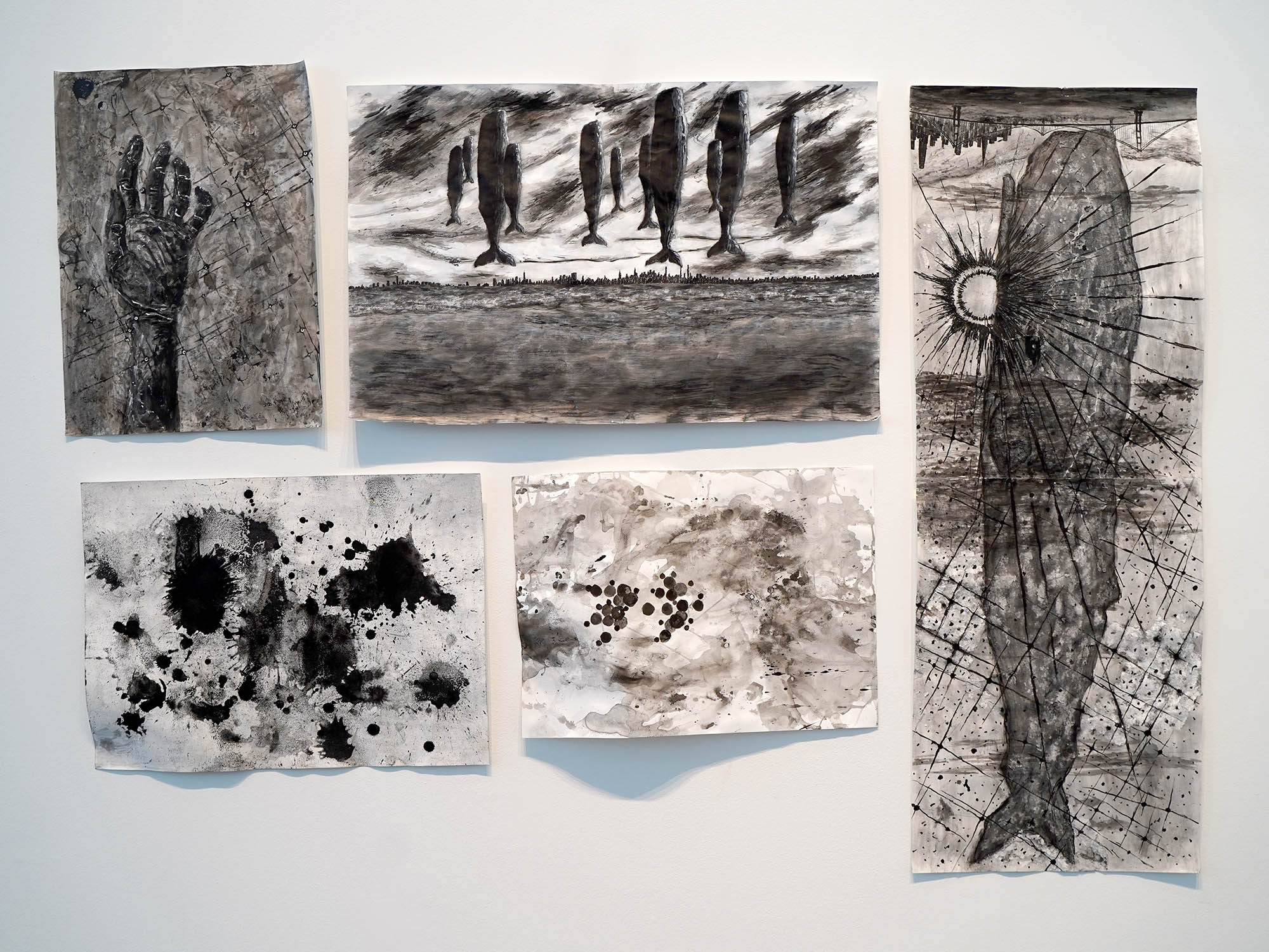Five charcoal images hang on the wall of a gallery.
